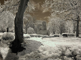 Infra photography of a park 