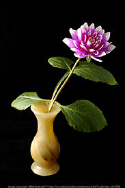 Table top flower pot