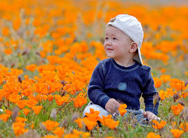 Kid on the flower field