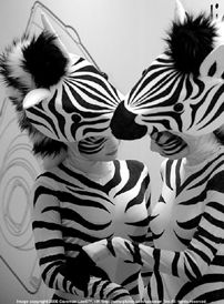 Untitled.. Zebra ladies