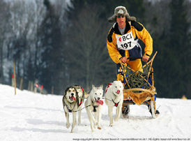 Speed race on the icy path