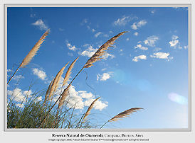 Reserva Natural de Otamendi