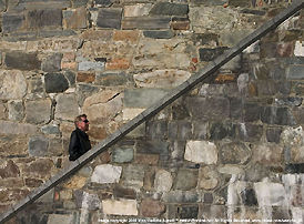 Speed race on the icy path