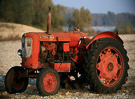 Old, disgarded truck