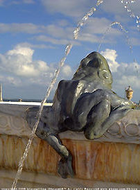 Froggy Fountain..