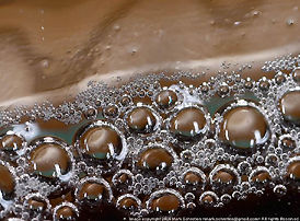 Beer bubbles