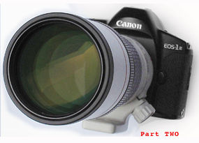 Canon EOS-1N series site LINKING - Part II
