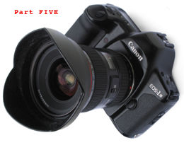 Canon EOS-1N series site LINKING - Part V