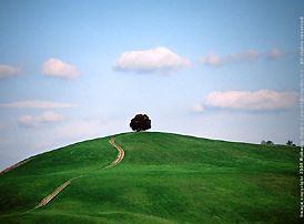 Open Spcace scenic view