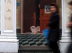 wall painting, Shanghai 2006